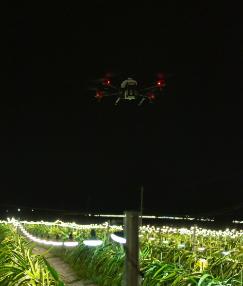 夜間水稻直播、果樹植保